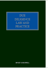 Due Diligence Law and Practice
