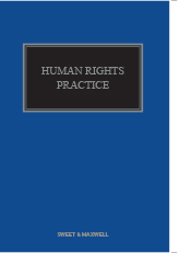 Human Rights Practice