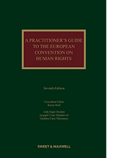 Practitioner's Guide to the European Convention on Human Rights, A